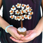 Gomati Chakra Tree with Rudraksha